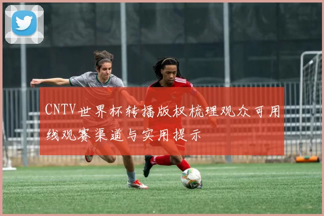 CNTV世界杯转播版权梳理观众可用线观赛渠道与实用提示