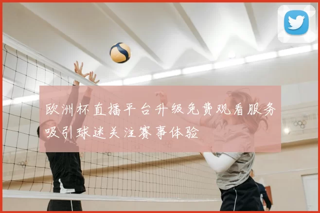 欧洲杯直播平台升级免费观看服务吸引球迷关注赛事体验